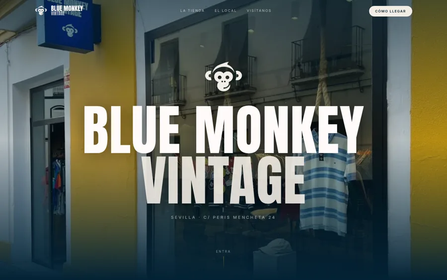 Blue Monkey Vintage: Web para una tienda de ropa vintage